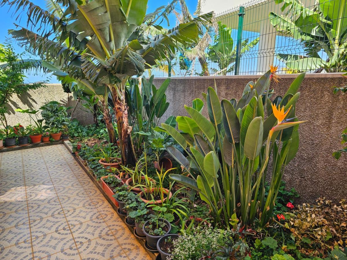 Casa De Feria Do Livramento Villa Funchal  Eksteriør billede