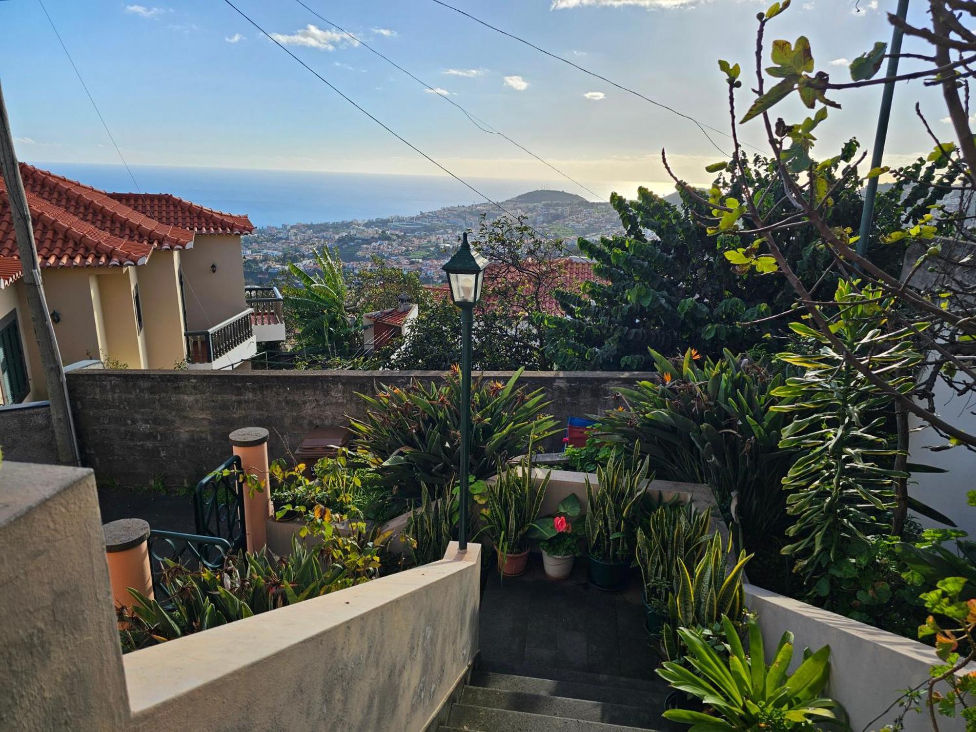 Casa De Feria Do Livramento Villa Funchal  Eksteriør billede